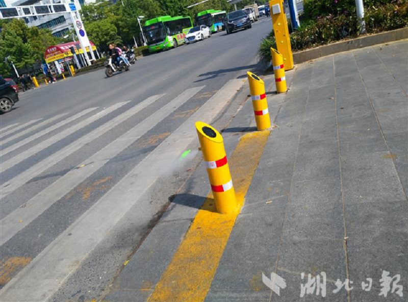Метод борьбы с пешеходами перебегающими дорогу на красный
